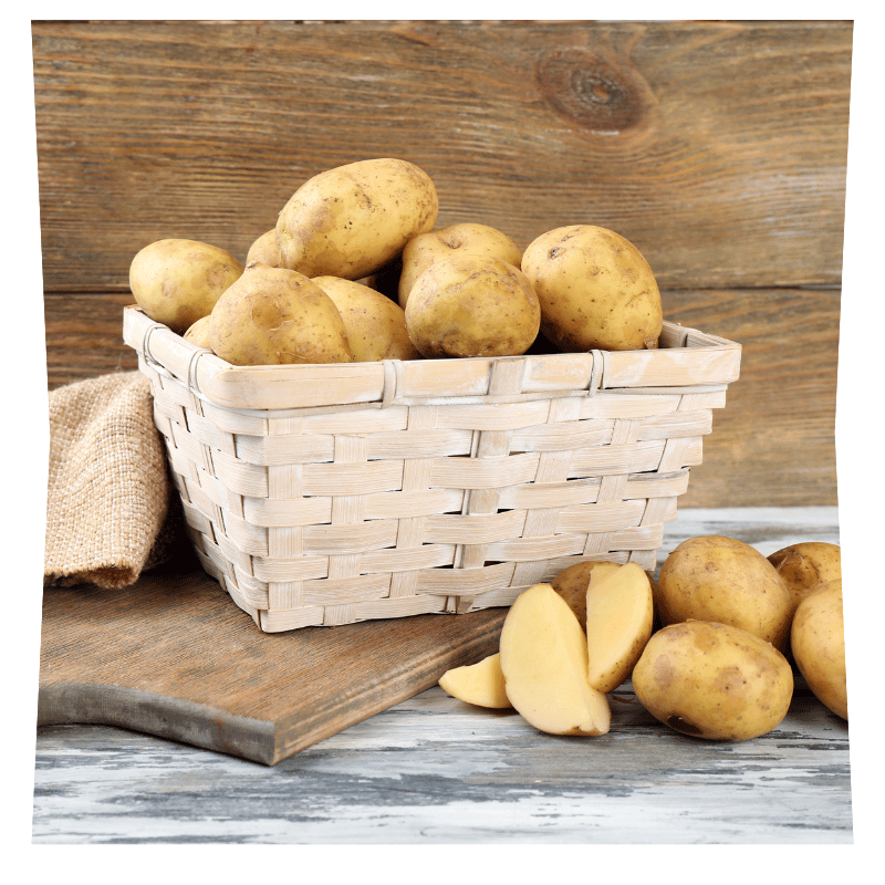 Pommes de terre Agria dans un panier en osier, avec quelques pommes de terre dispersées à côté, dont une coupée en quartiers