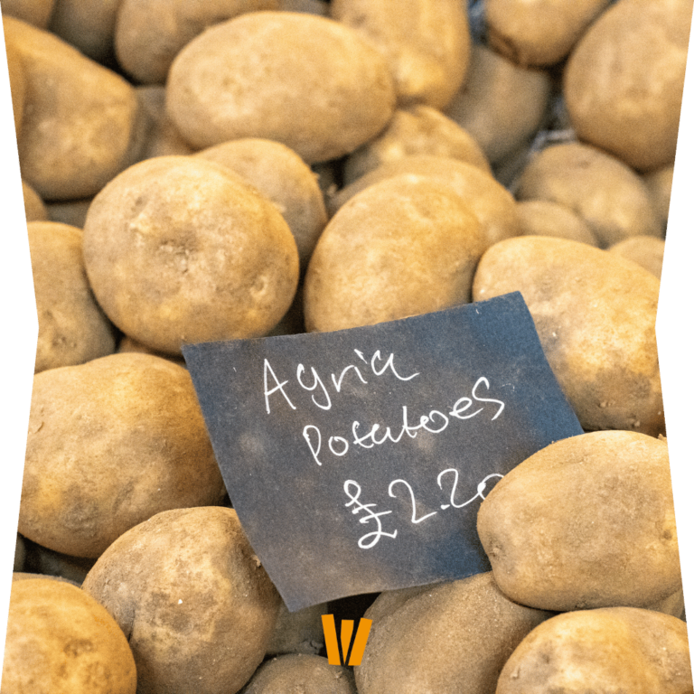 La pomme de terre Agria : variété d'excellence pour vos frites fraîches