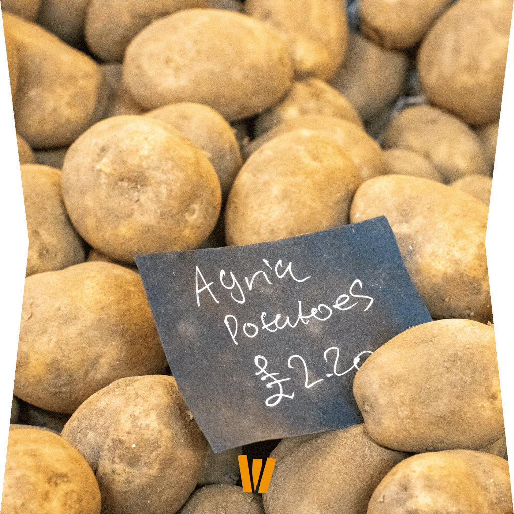 La pomme de terre Agria : variété d'excellence pour vos frites fraîches